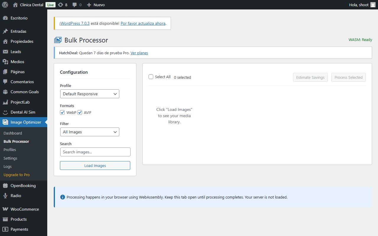 WP Image Optimizer — Bulk Processor — procesamiento por lote.